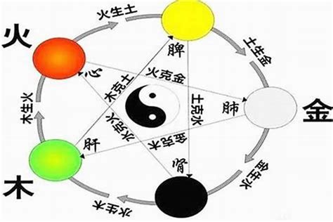 中文字 五行|汉字五行